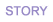 �X�g�[���[